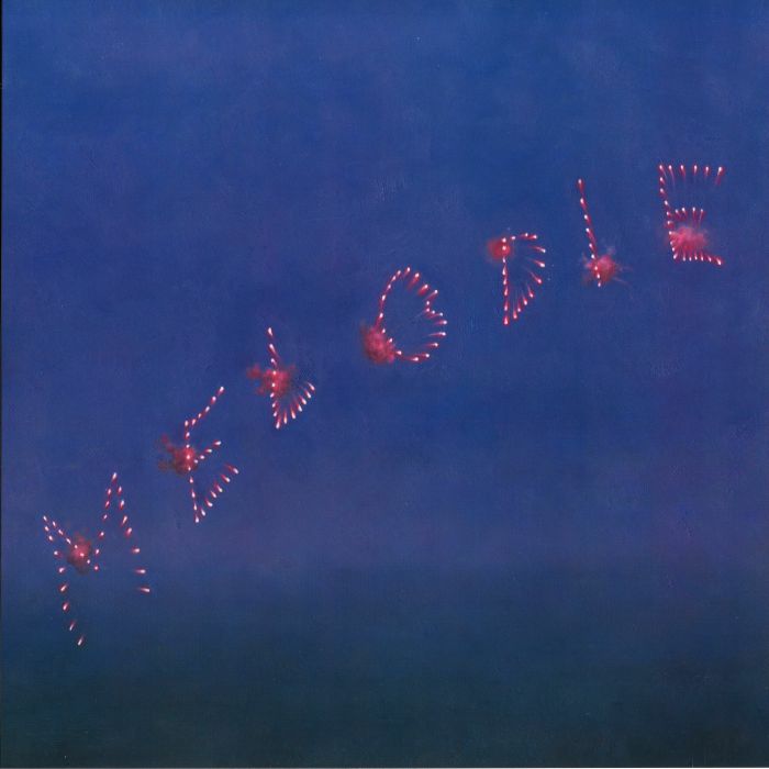 Slow Pulp – Melodie vinyl cover
