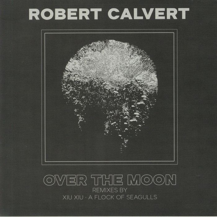 Robert Calvert Over The Moon
