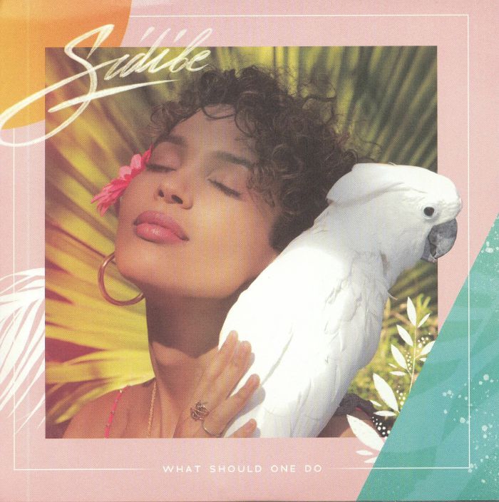Sidibe What Should One Do