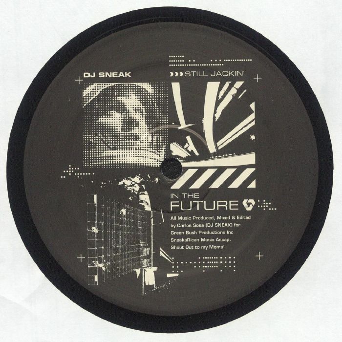 In The Future Vinyl