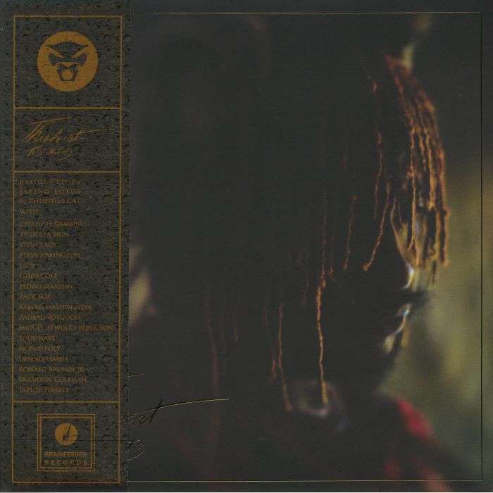Thundercat – It Is What It Is (Deluxe Edition) vinyl cover