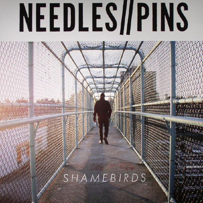 Needles | Pins Shamebirds