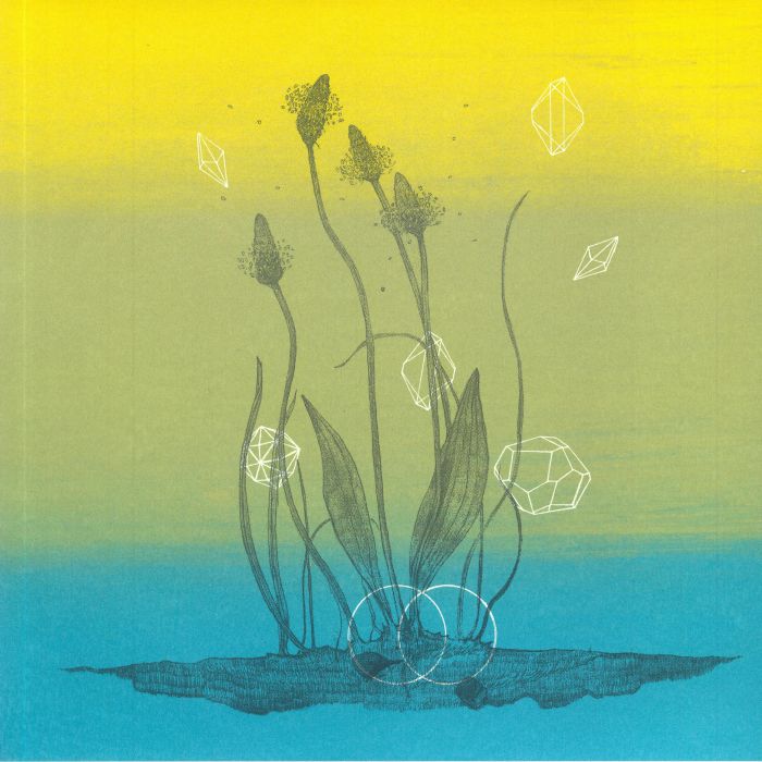 Coriolis Sounds Vinyl