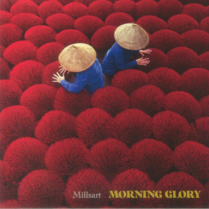Millsart Morning Glory