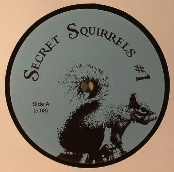 Secret Squirrel Secret Squirrels  1