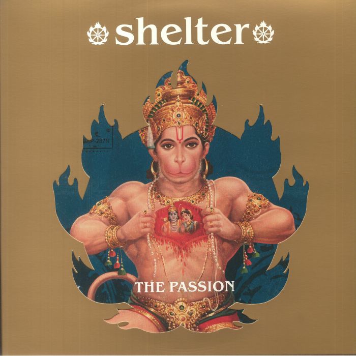 Shelter The Purpose The Passion