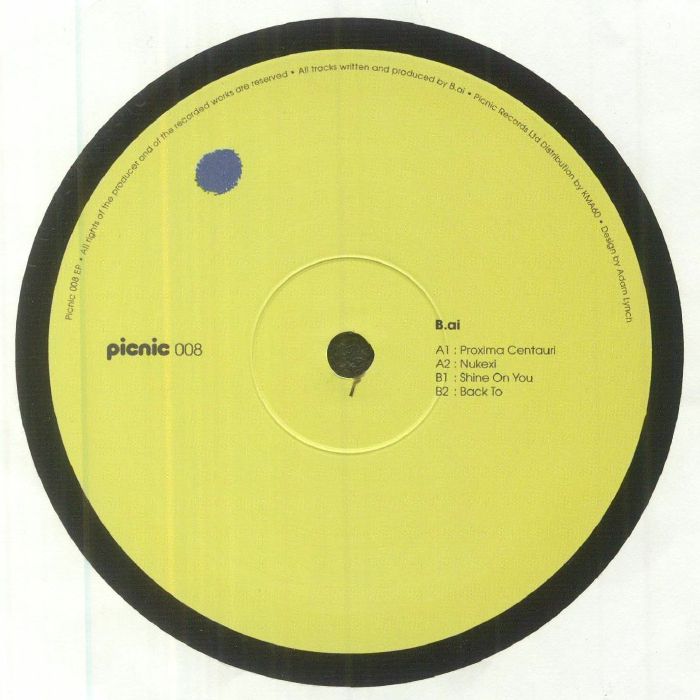 Picnic Vinyl