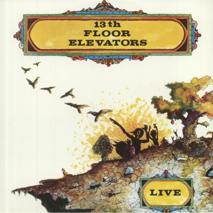 The 13th Floor Elevators Live