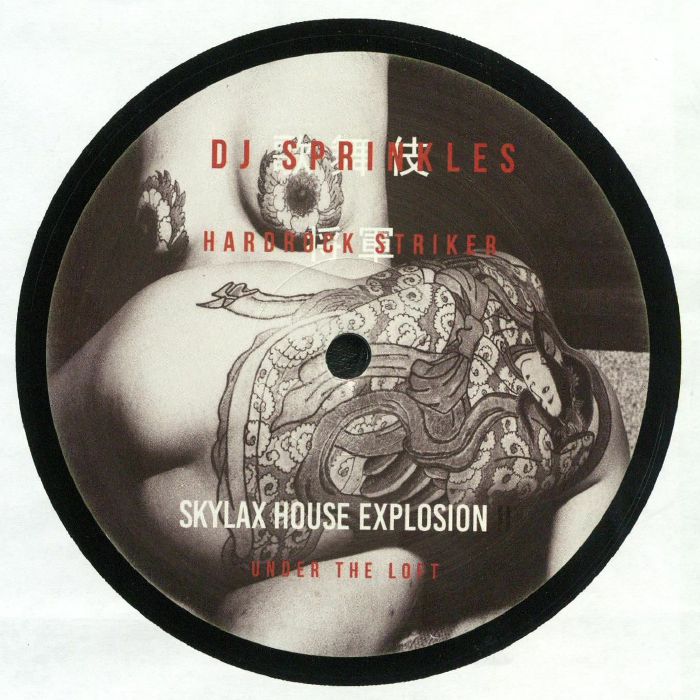 DJ Sprinkles | Hardrock Striker Skylax House Explosion II: Under The Loft