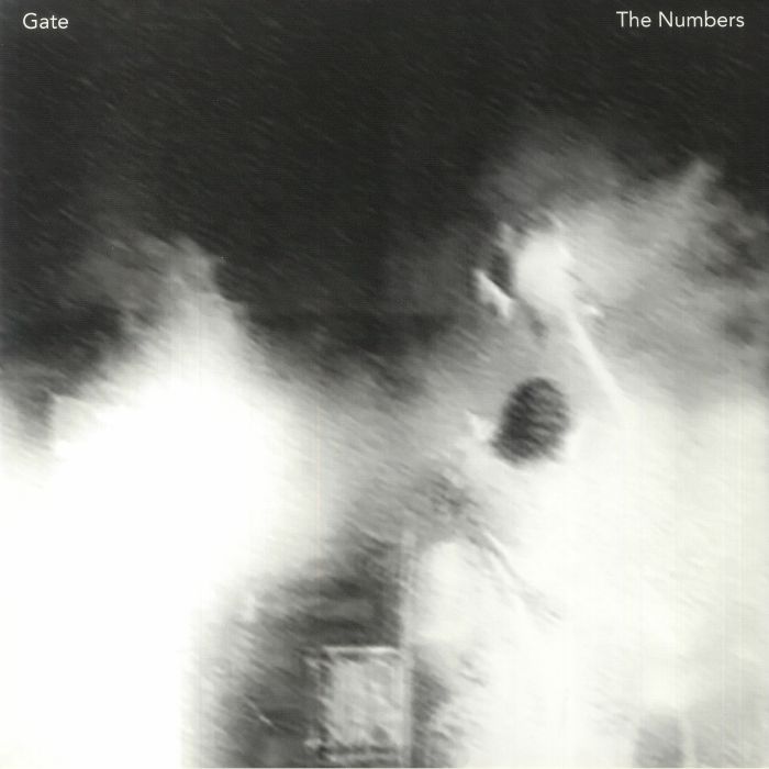 Gate The Numbers