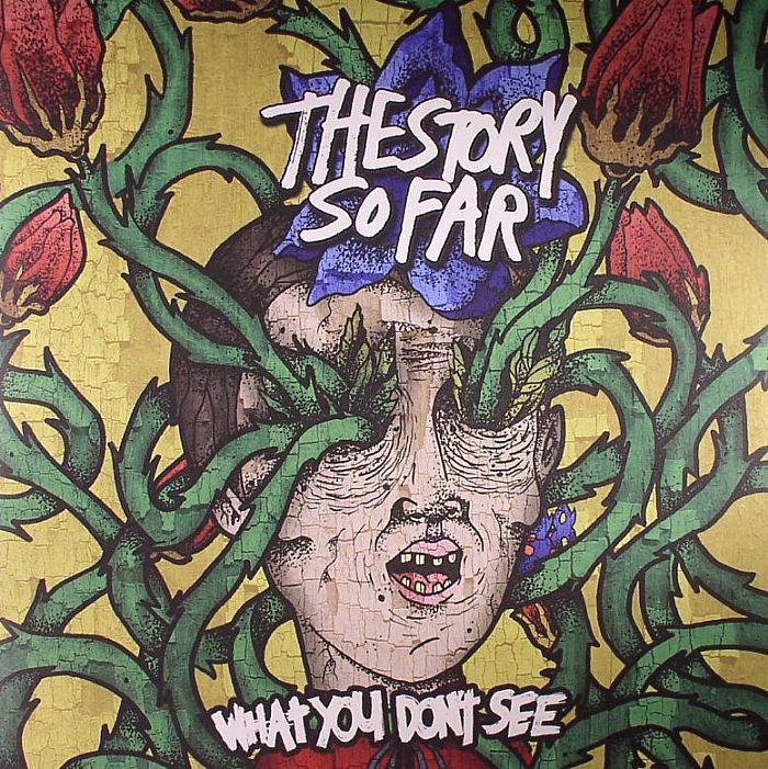 The Story So Far What You Dont See