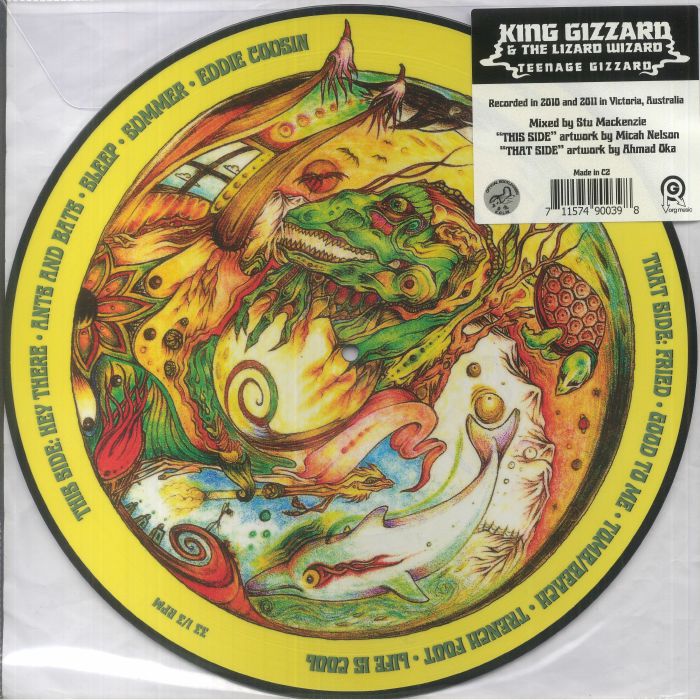 King Gizzard and The Lizard Wizard – Teenage Gizzard vinyl cover