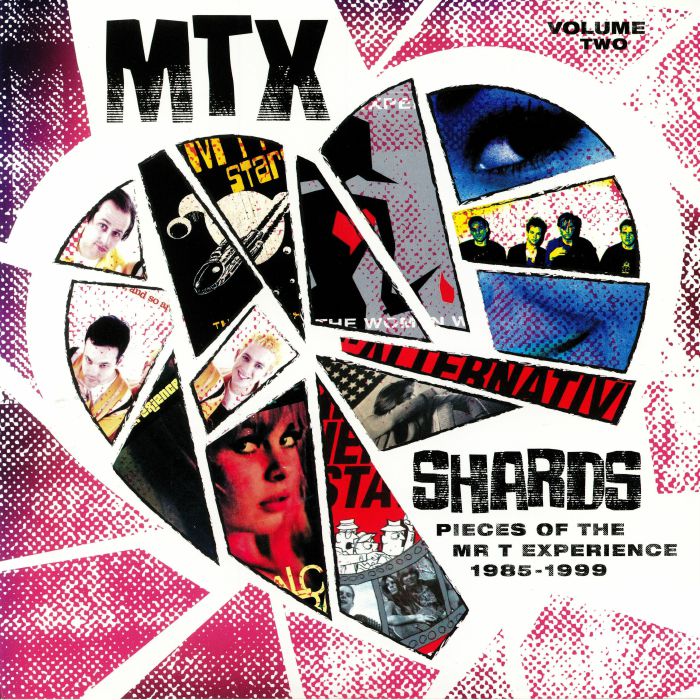 Mr T Experience Shards: Pieces Of The Mr T Experience Vol 2: 1985 1999