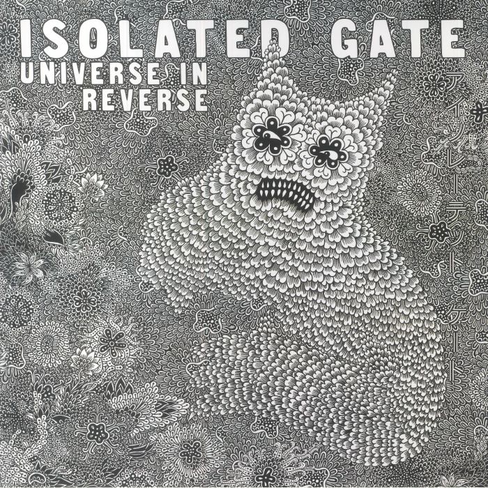 Isolated Gate Universe In Reverse