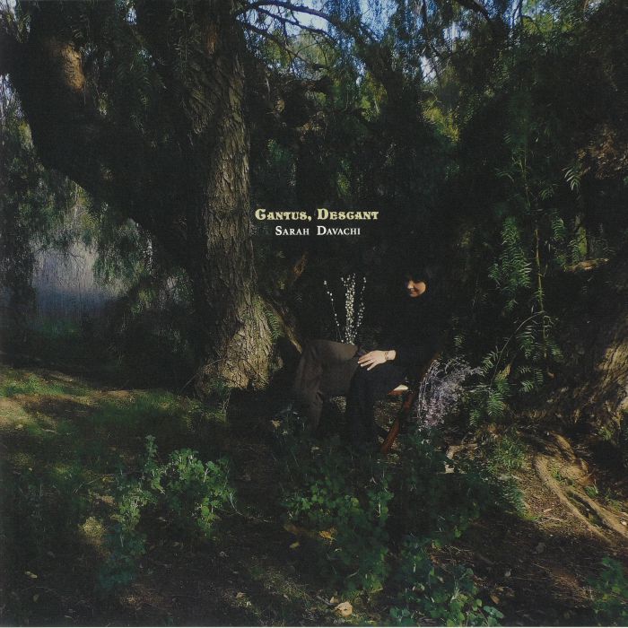 Sarah Davachi – Cantus Descant vinyl cover