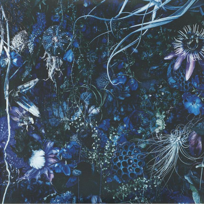Sugizo – Oneness M vinyl cover