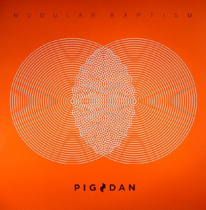 Pig and Dan Modular Baptism