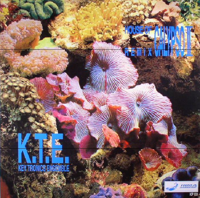 Key Tronics Ensemble – House Of Calypso II Remix vinyl cover