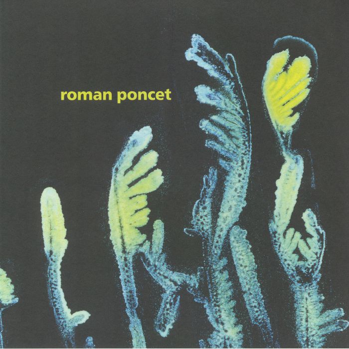 Roman Poncet Gypsophila