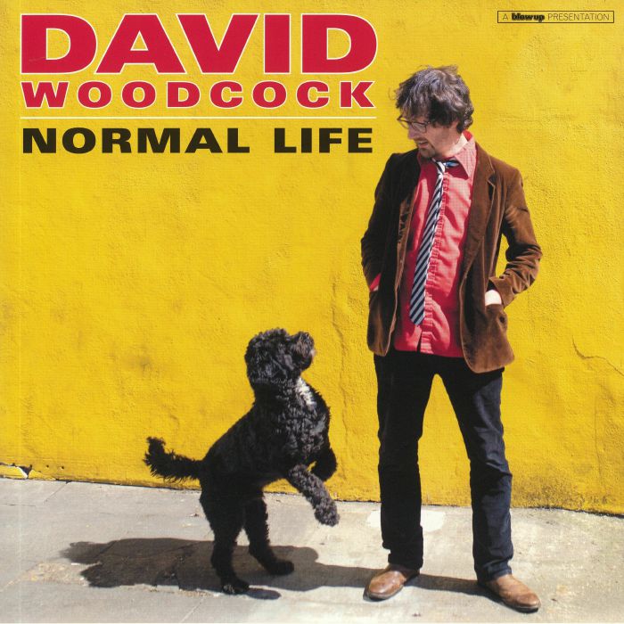 David Woodcock Normal Life