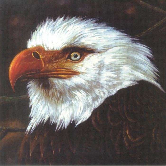 Mogwai The Hawk Is Howling (15th Anniversary Edition)