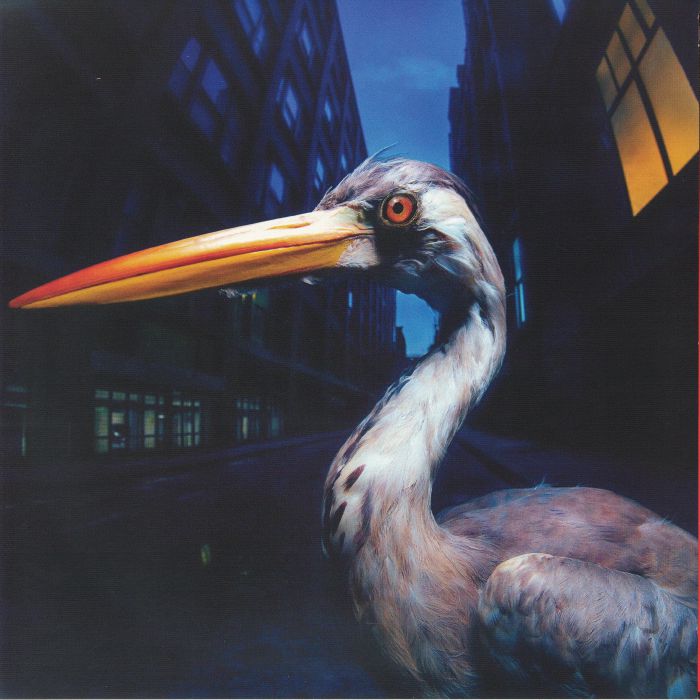 Antony Szmierek – Decoding Birdsong vinyl cover