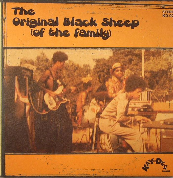 The Original Black Sheep Of The Family In The Forest