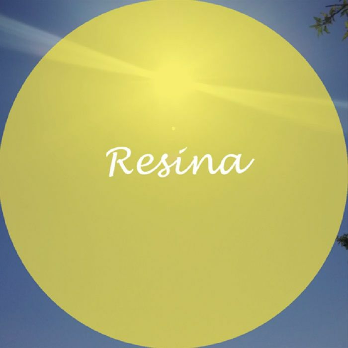 Resina Vinyl