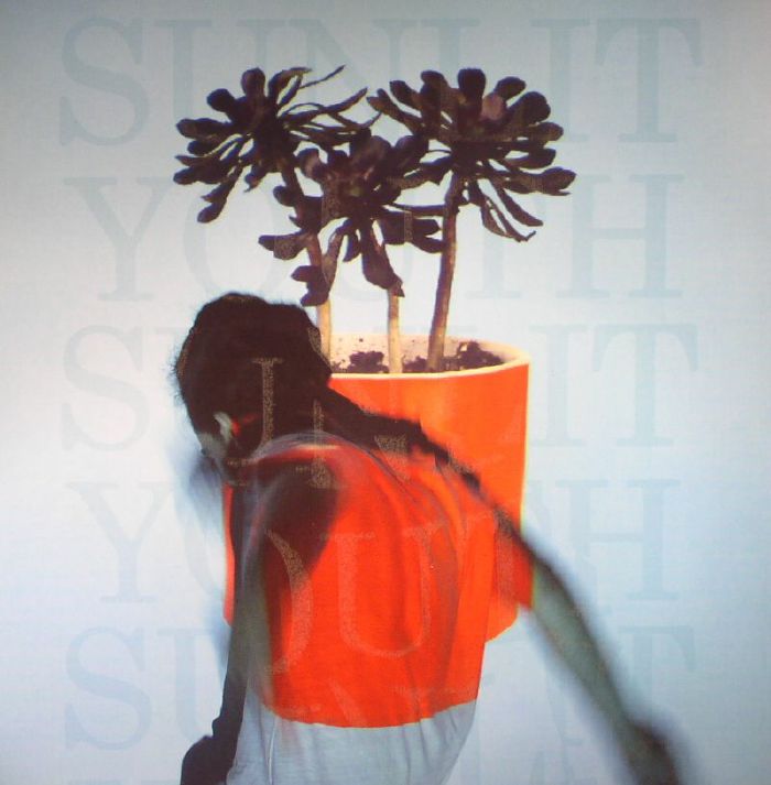 Local Natives – Sunlit Youth vinyl cover