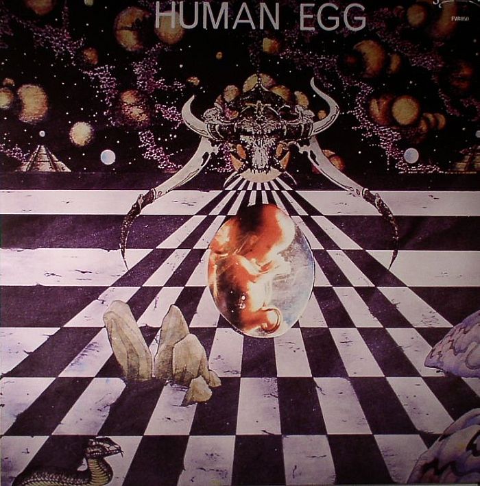 Human Egg Human Egg