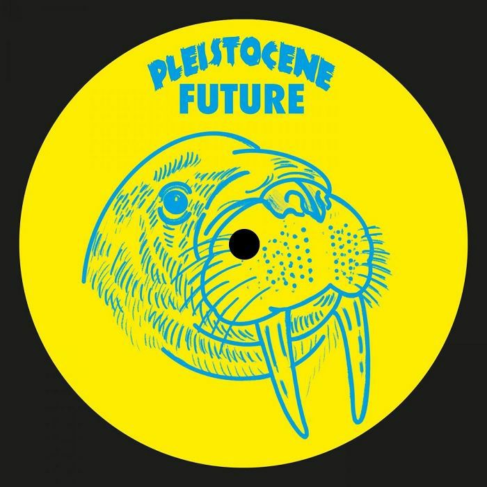 Pleistocene Future Vinyl