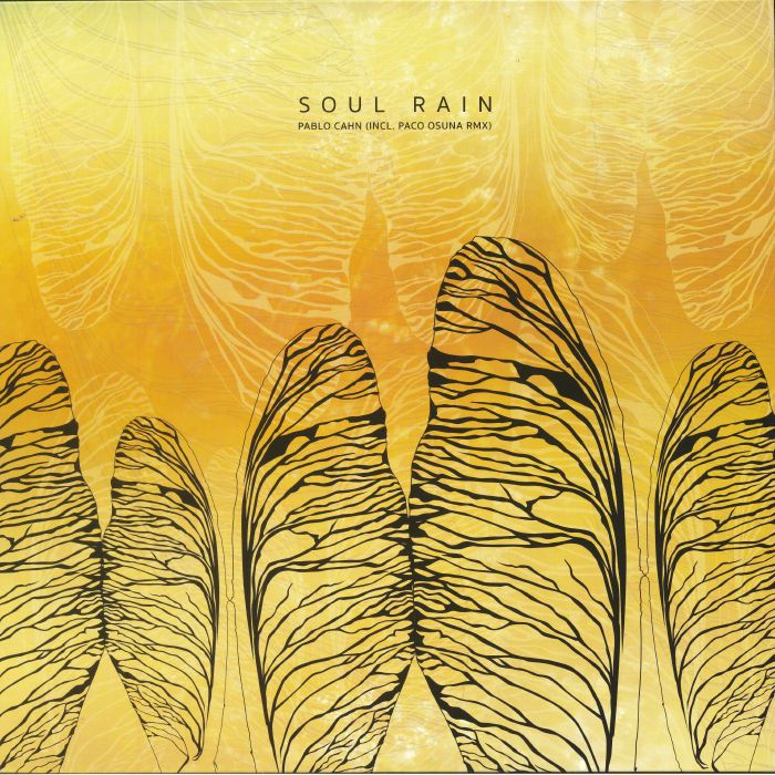 Pablo Cahn Soul Rain