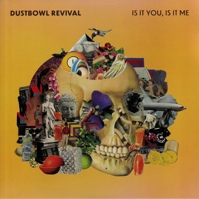 The Dustbowl Revival Vinyl