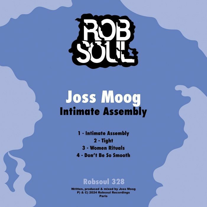 Robsoul Recordings Vinyl