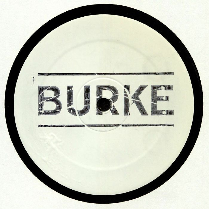 Burke Blue Tongued Skink