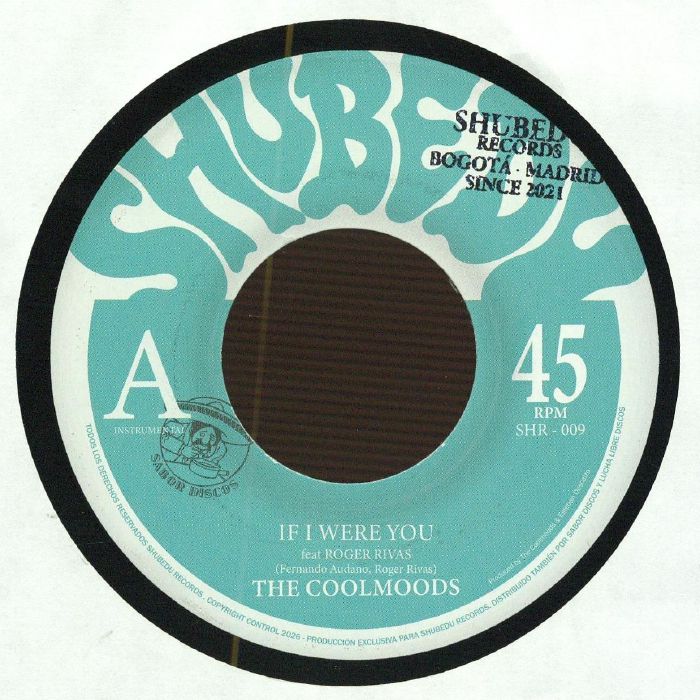 The Coolmoods If I Were You