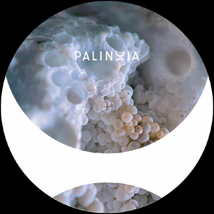 Palinoia Vinyl