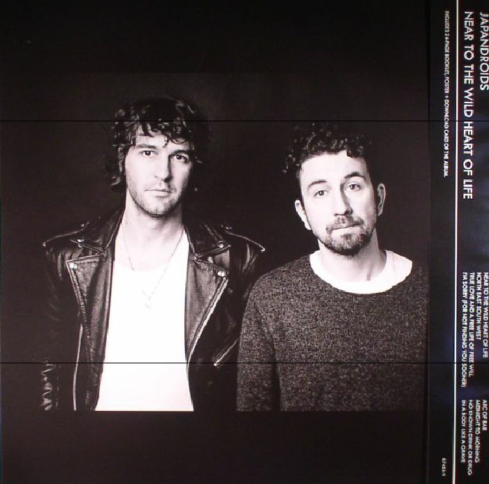 Japandroids Near To The Wild Heart Of Life