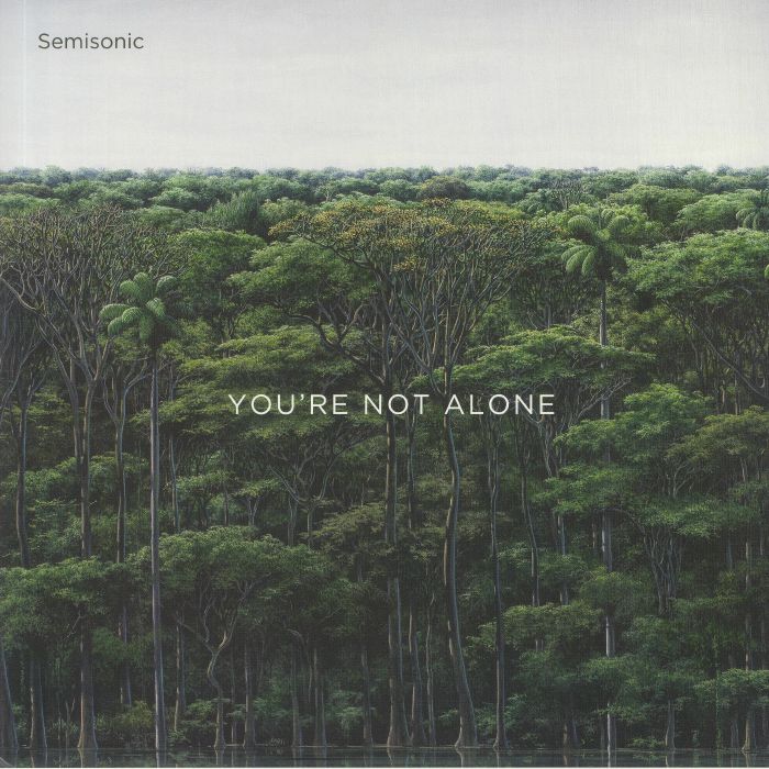 Semisonic Youre Not Alone