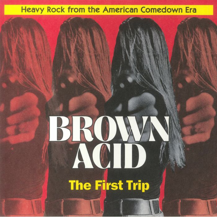 Various Artists Brown Acid: The First Trip
