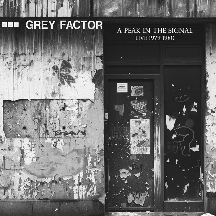 Grey Factor A Peak In The Signal: Live 1979 1980