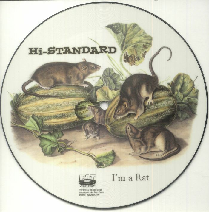 Hi Standard Im A Rat