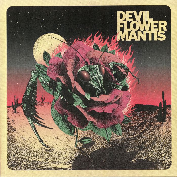 Devil Flower Mantis Devil Flower Mantis