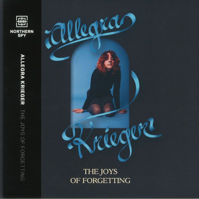Allegra Krieger The Joys Of Forgetting