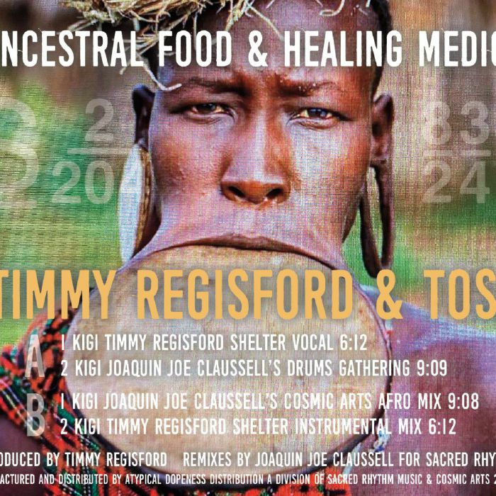 Timmy Regisford | Toshio Tikolo Ancestral Food and Healing Medicine Vol 2