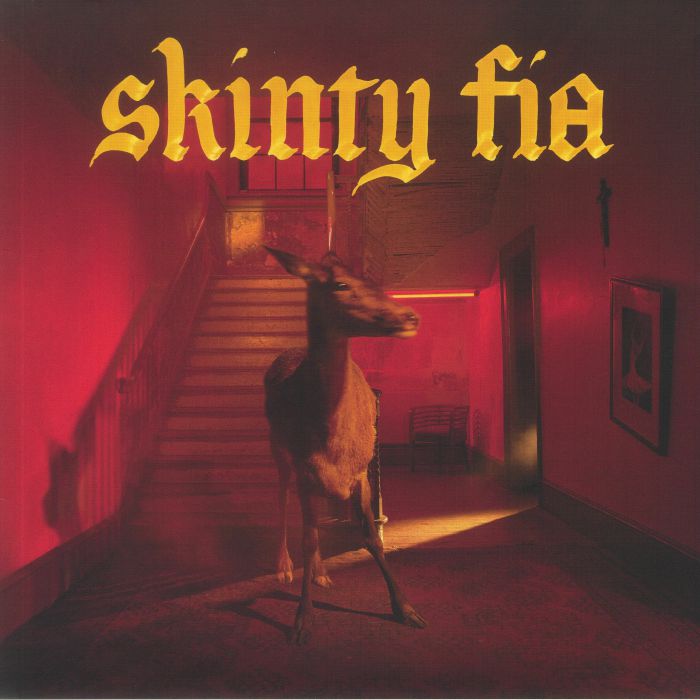 Fontaines Dc – Skinty Fia vinyl cover