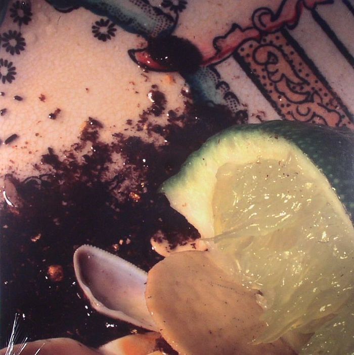 Donato Dozzy – Plays Bee Mask vinyl cover