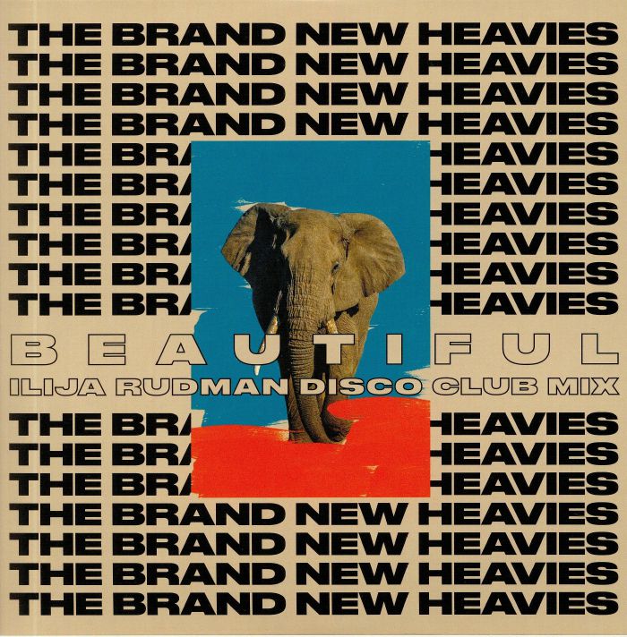 The				 Brand New Heavies TBNH (Ilija Rudman Mixes)				