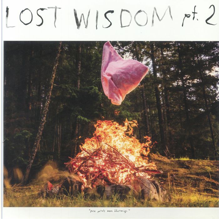 Mount Eerie | Julie Doiron Lost Wisdom Part 2