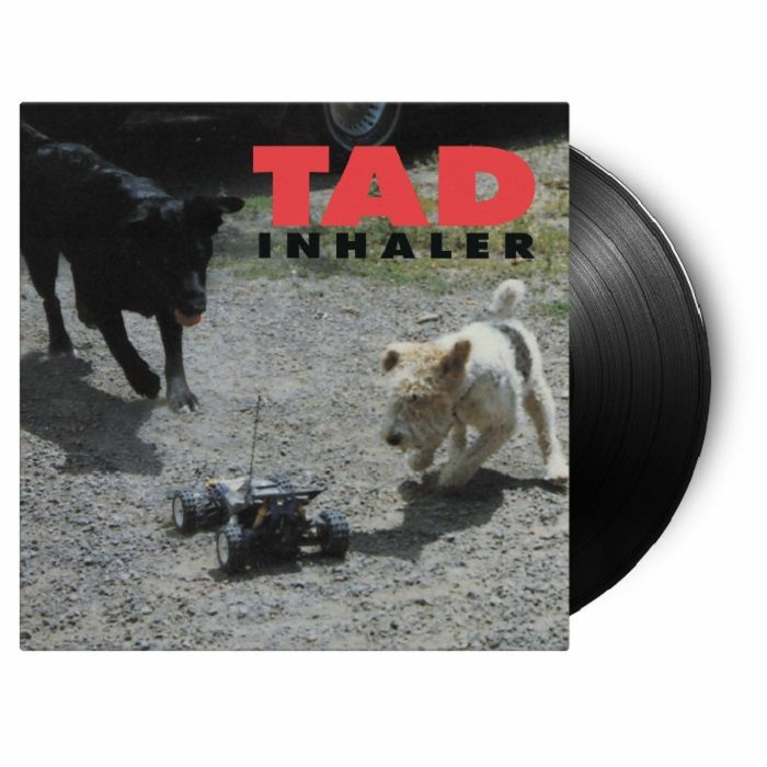 Tad Vinyl